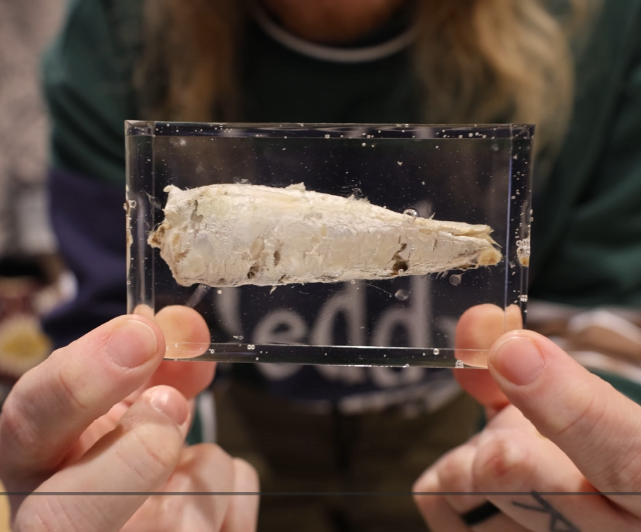 Enchanted Sardine Prism