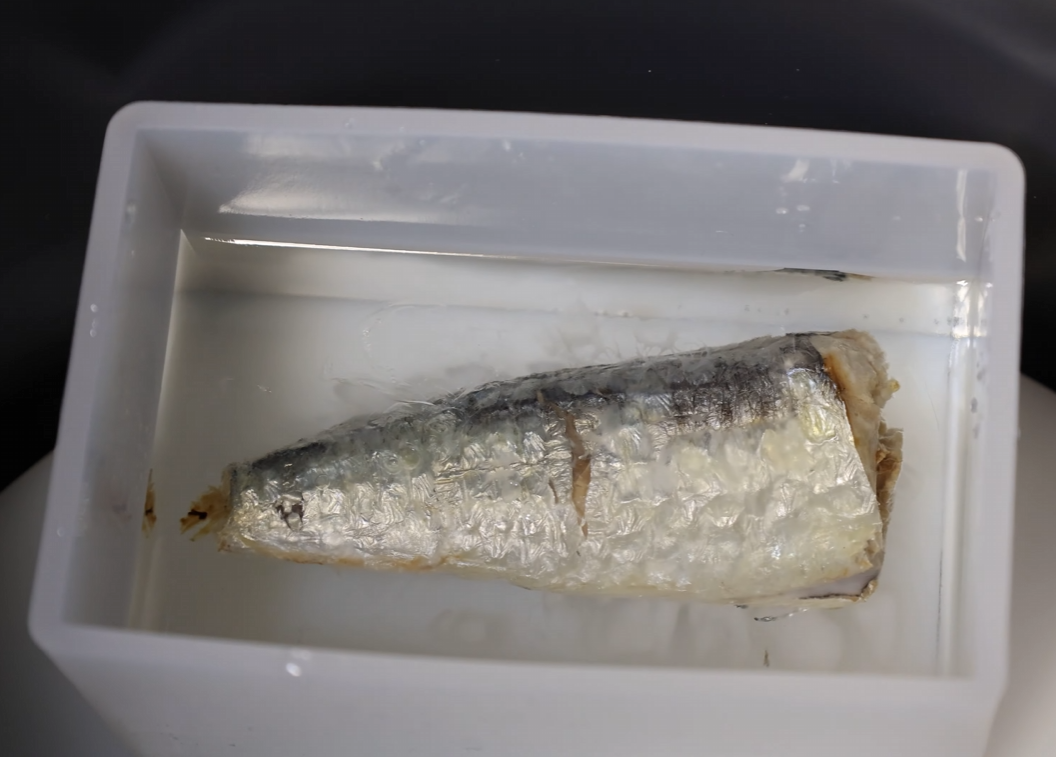 Enchanted Sardine Prism